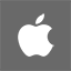 iTunes icon